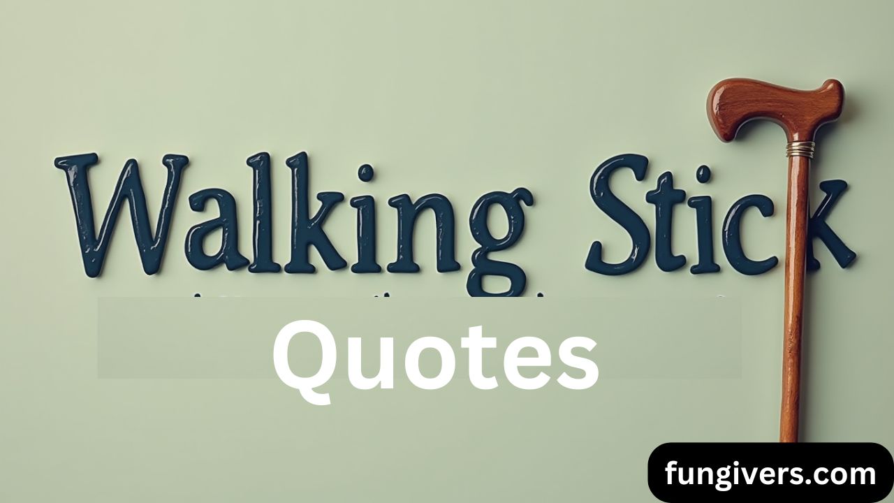 200+ Funny & Creative Walking Stick Quotes