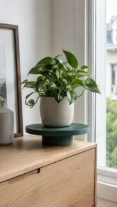 Build a Low Disc Stand for One Plant